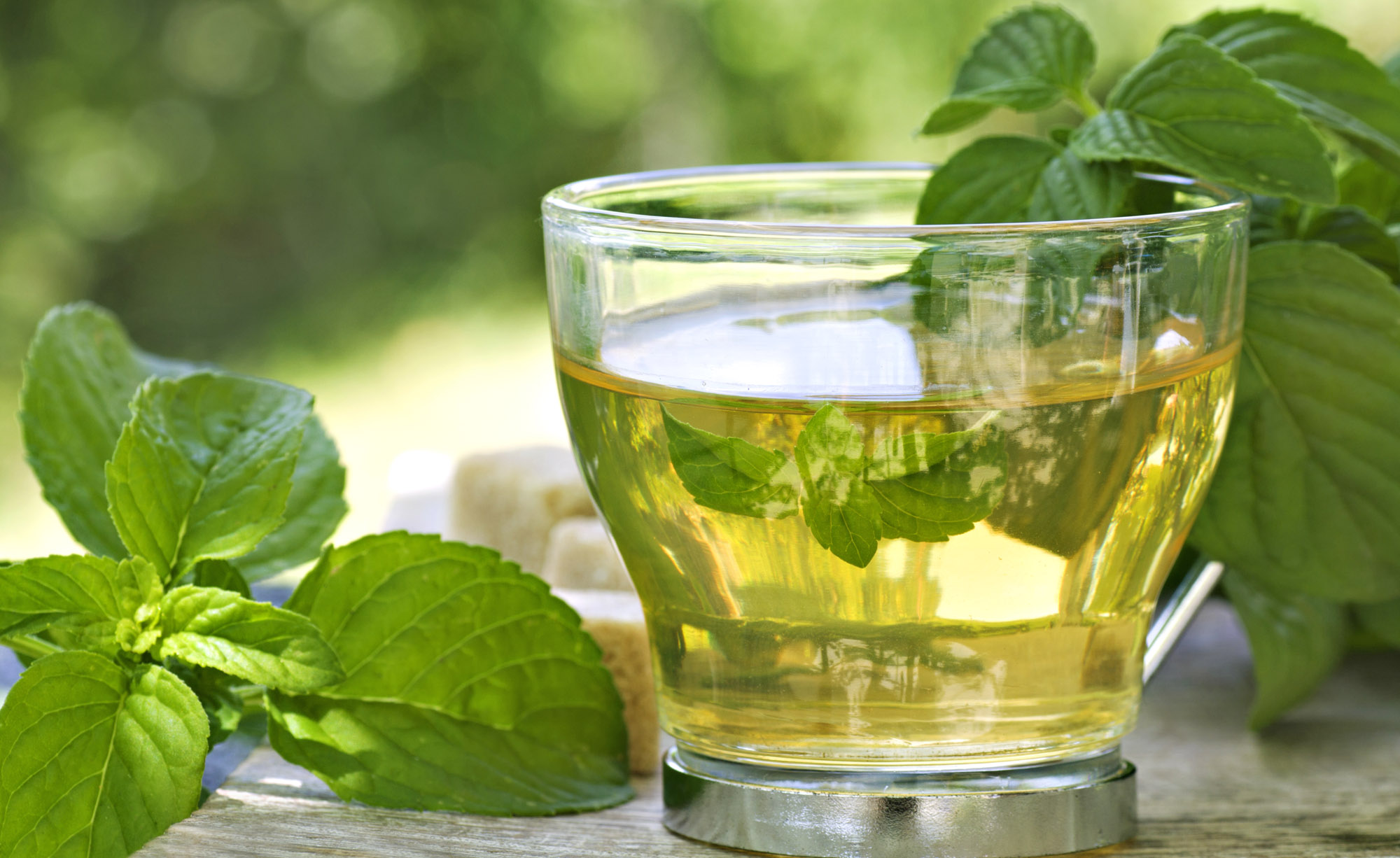 A glass of mint tea on a table covered in mint leaves